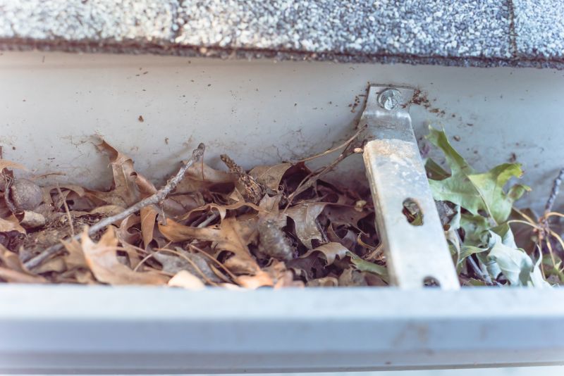 Clogged Gutters with Debris